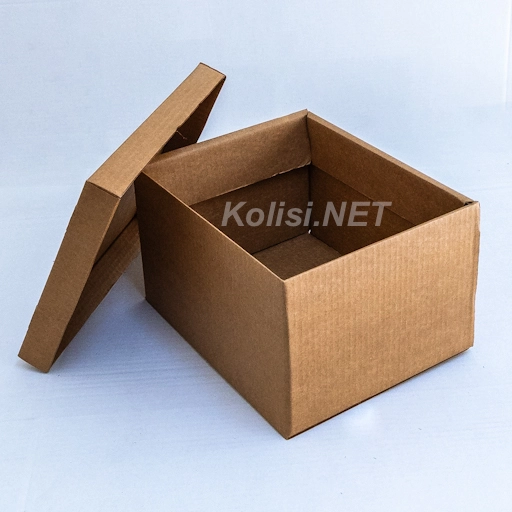 kapaklı koli